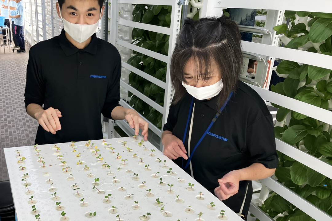 農園では楽しく作業をしています